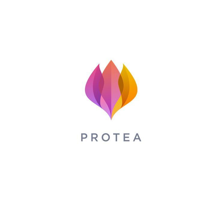 Protea